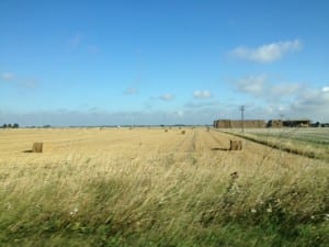 fields between Lincoln and Holbeach 