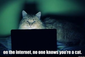 on the internet no one knows you're a cat